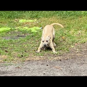 Meet your Posher, Gary